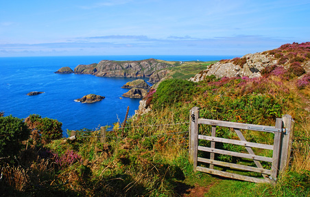 Picture of Wales Coast Path, Strumble Head, Pembrokeshire