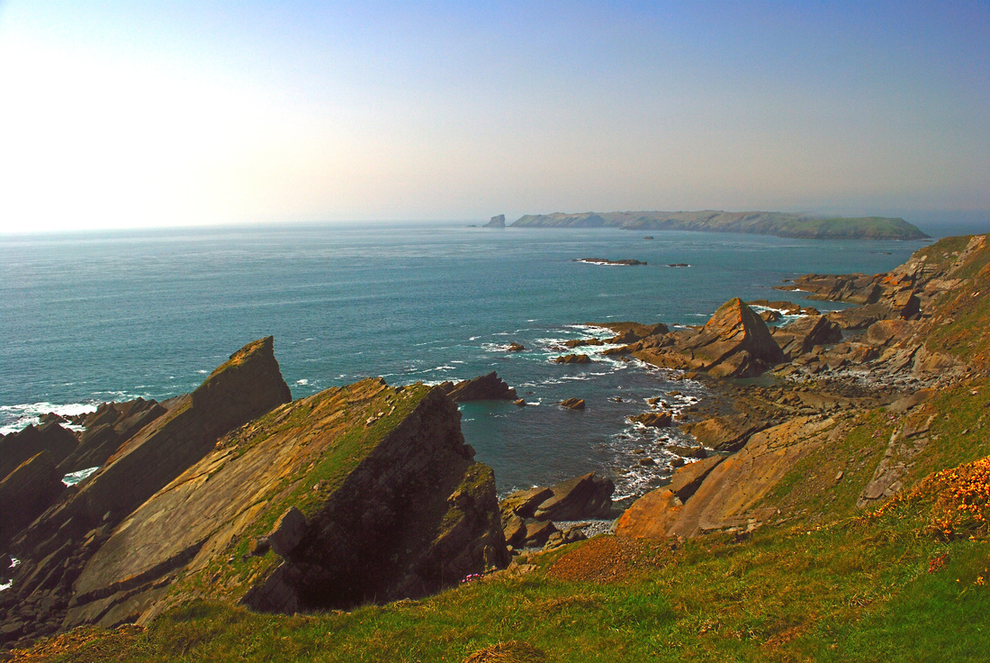 Picture of Skomer Island from the Wales Coast Path