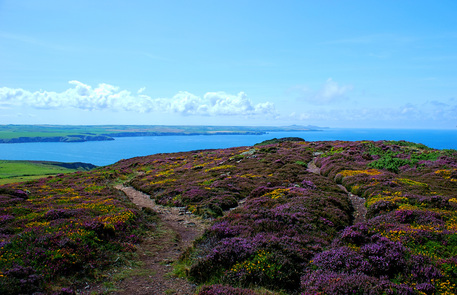 Picture of Penbwchdy, Pembrokeshire